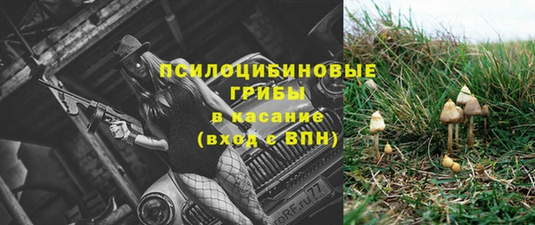 ALPHA PVP Заводоуковск