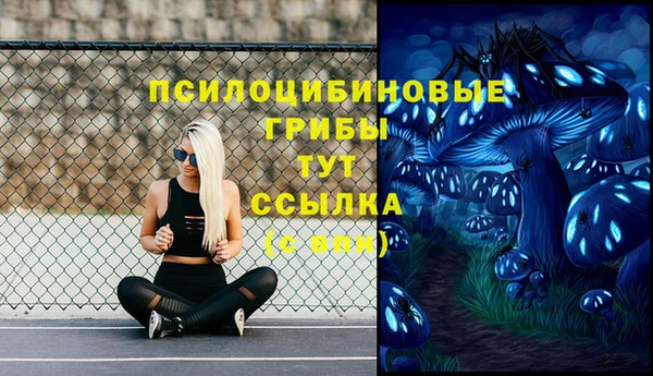 spice Ельня