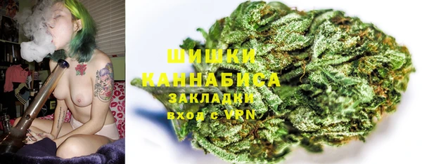 spice Ельня
