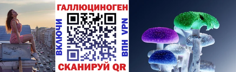 Псилоцибиновые грибы Psilocybe  купить наркотик  Кольчугино 