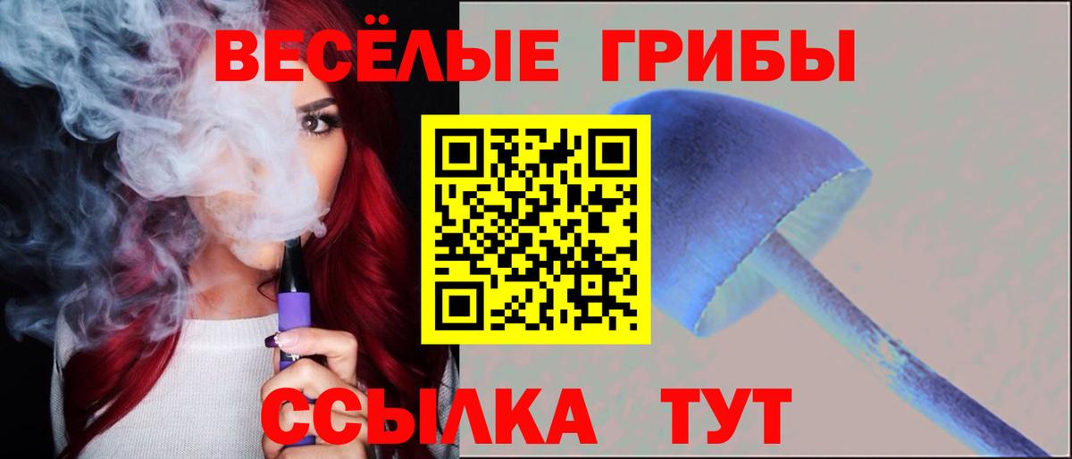 Кольчугино  купить наркоту  Вход с VPN  Галлюциногенные грибы Cubensis 